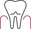 Animated tooth and receding gum tissue